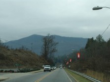 DSC06494.jpg