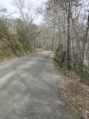 DSC01747.jpg