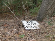 DSC01750.jpg