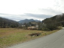 DSC01753.jpg