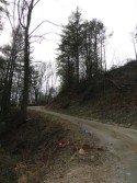 DSC01755.jpg