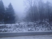 DSC01798.jpg