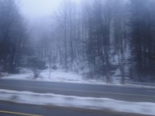 DSC01799.jpg