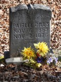 DSC01872.jpg