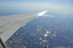 DSC_0028.jpg