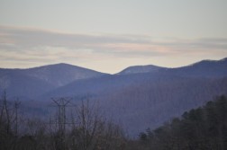 DSC_0118.jpg