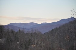 DSC_0119.jpg