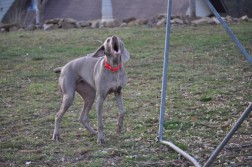 DSC_0120.jpg
