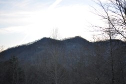 DSC_0122.jpg