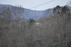 DSC_0155.jpg