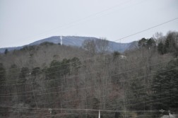 DSC_0156.jpg