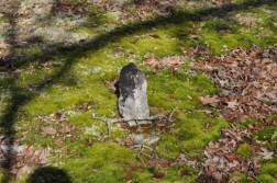 DSC_0174.jpg
