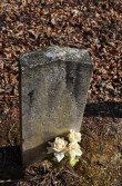 DSC_0176.jpg