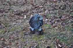 DSC_0182.jpg