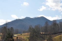 DSC_0189.jpg