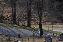 DSC_0190.jpg
