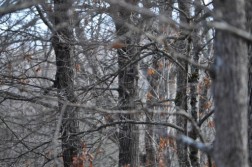 DSC_0194.jpg