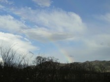 DSC09793.jpg