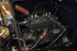 DSC_4826.jpg