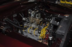 DSC_4831.jpg