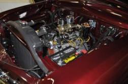 DSC_4833.jpg