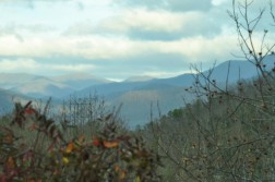 DSC_4887.jpg