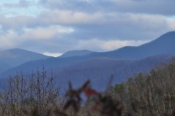 DSC_4897.jpg