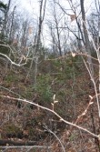 DSC_4926.jpg