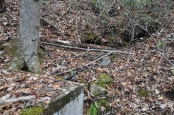 DSC_4927.jpg
