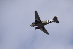 DSC_1020.jpg
