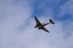 DSC_1021.jpg
