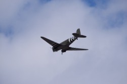DSC_1023.jpg