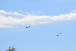 DSC_1053.jpg