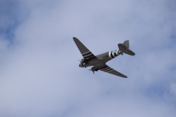 DSC_1060.jpg