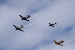 DSC_1061.jpg