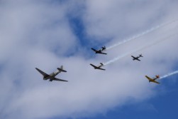 DSC_1062.jpg