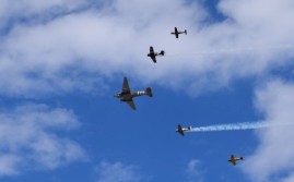 DSC_1065.jpg