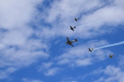 DSC_1066.jpg