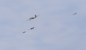 DSC_1074.jpg