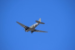DSC_1100.jpg