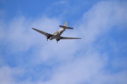 DSC_1101.jpg