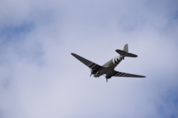 DSC_1160.jpg