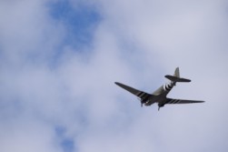 DSC_1161.jpg