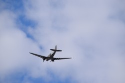 DSC_1162.jpg