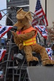 DSC_1194.jpg