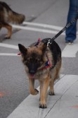 DSC_1206.jpg