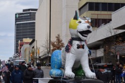 DSC_1238.jpg