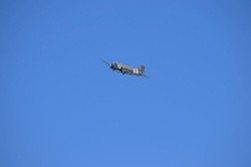 DSC_9047.jpg