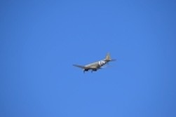 DSC_9049.jpg