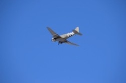 DSC_9138.jpg